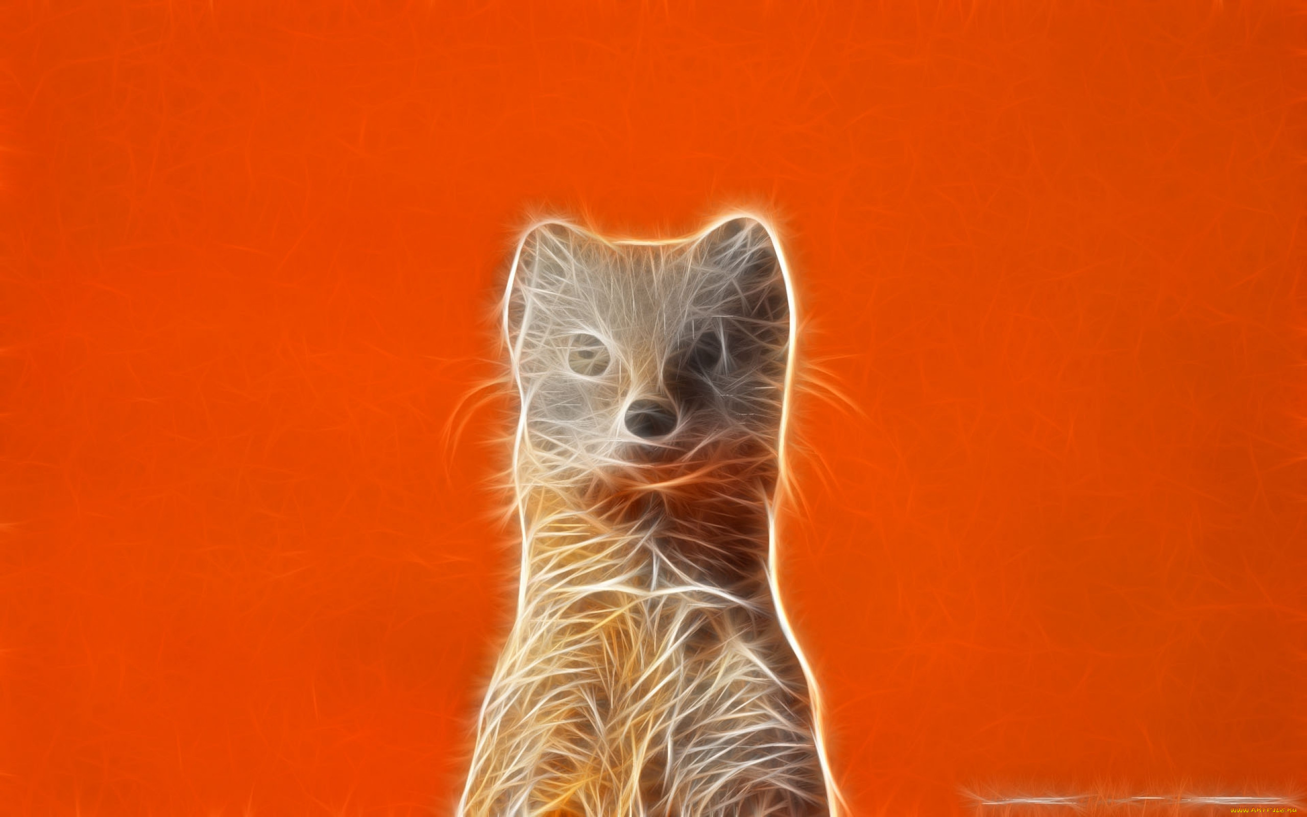 3, , animals, , 